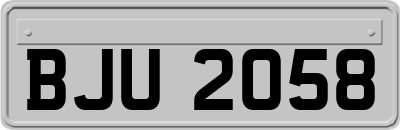 BJU2058