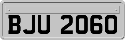 BJU2060