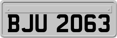 BJU2063
