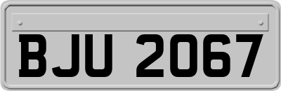 BJU2067