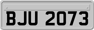 BJU2073