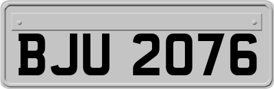 BJU2076