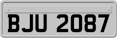 BJU2087