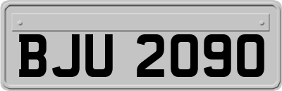 BJU2090