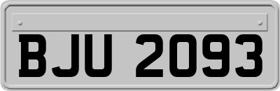 BJU2093