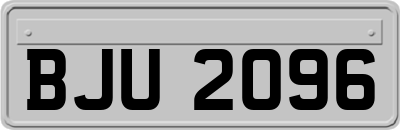 BJU2096