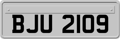 BJU2109