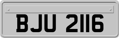 BJU2116
