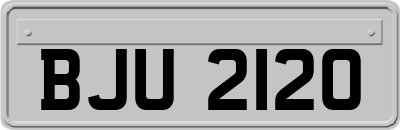 BJU2120