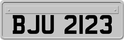 BJU2123