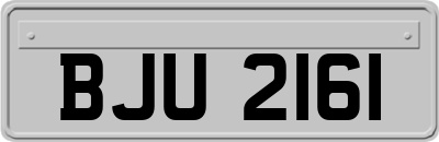 BJU2161