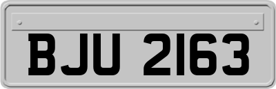 BJU2163