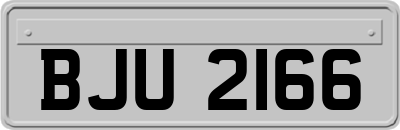 BJU2166