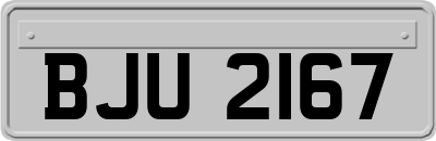 BJU2167