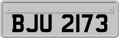 BJU2173