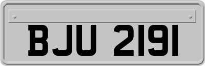 BJU2191