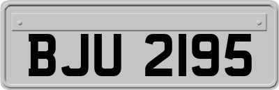 BJU2195