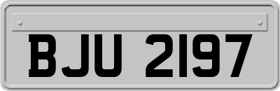 BJU2197