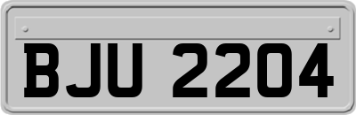 BJU2204
