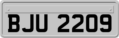 BJU2209