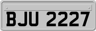 BJU2227