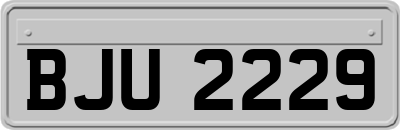 BJU2229