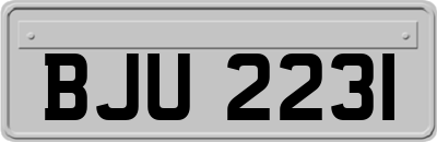 BJU2231