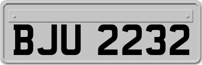 BJU2232