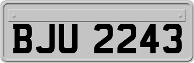 BJU2243