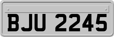 BJU2245