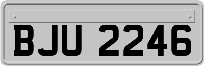 BJU2246