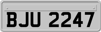BJU2247