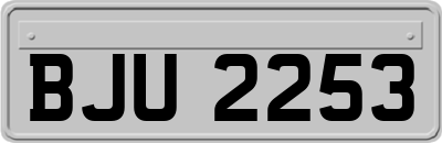 BJU2253