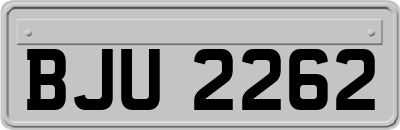 BJU2262