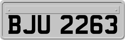 BJU2263