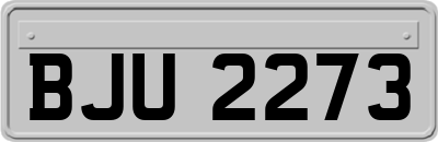 BJU2273