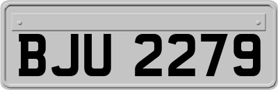 BJU2279