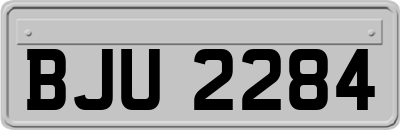 BJU2284