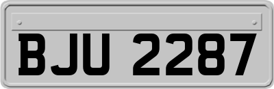 BJU2287