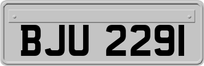 BJU2291