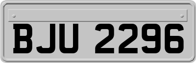 BJU2296