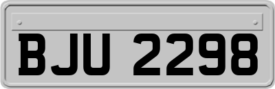 BJU2298