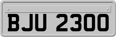 BJU2300