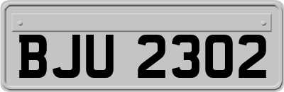 BJU2302