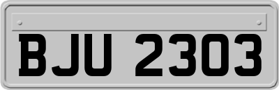 BJU2303