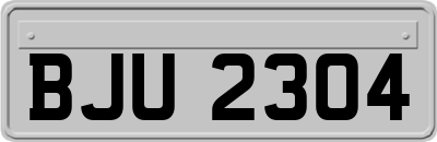 BJU2304