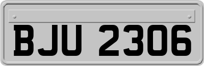 BJU2306