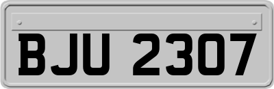 BJU2307