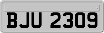 BJU2309