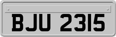 BJU2315